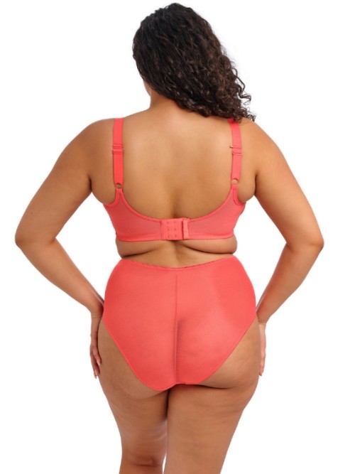 Elomi Matilda red high waist brief