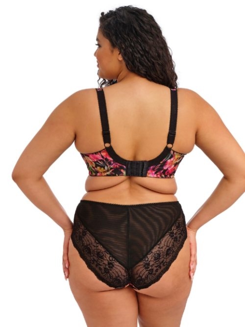 Elomi Morgan black padded bra