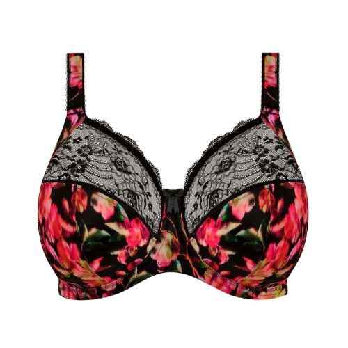 Elomi Morgan black padded bra