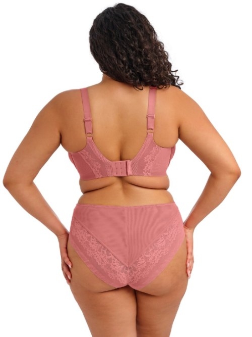 Elomi Nerina  padded bra