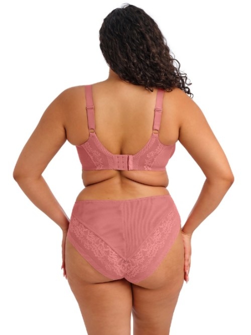 Elomi Nerina  padded bra