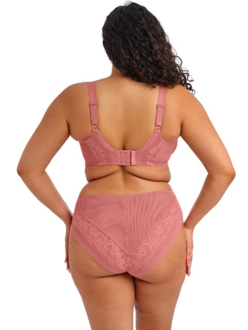 Elomi Nerina  high waist brief