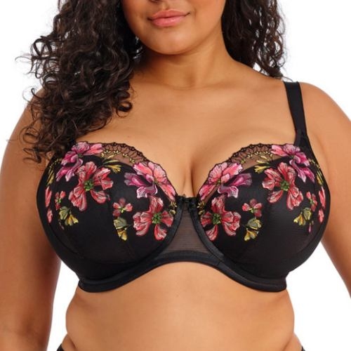 Elomi Teagan black padded bra