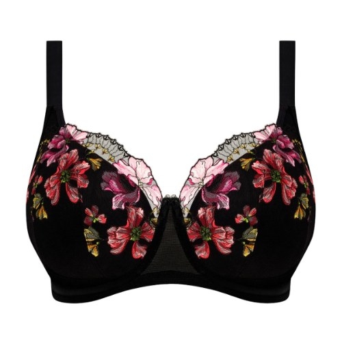 Elomi Teagan black padded bra