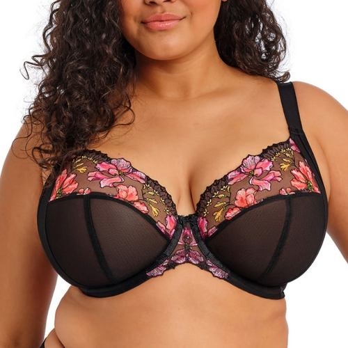 Elomi Teagan black padded bra