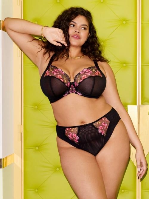 Elomi Teagan black padded bra