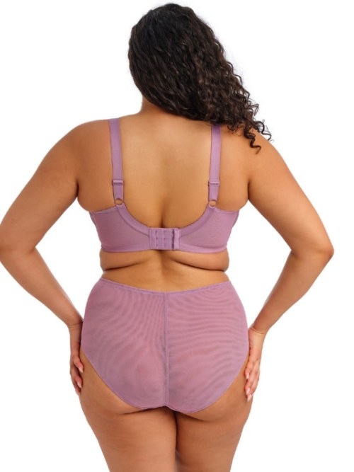 Elomi Brianna violet padded bra