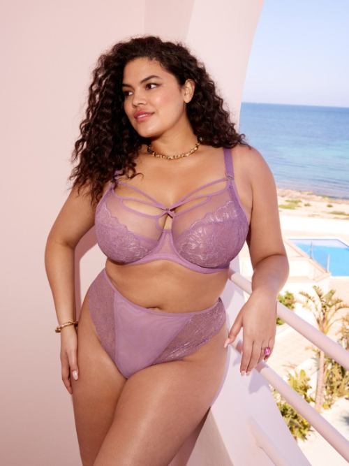 Elomi Brianna violet padded bra