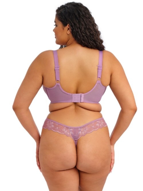 Elomi Brianna violet padded bra