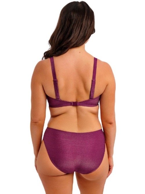 Fantasy Swim Paros Cove purple bikini brief
