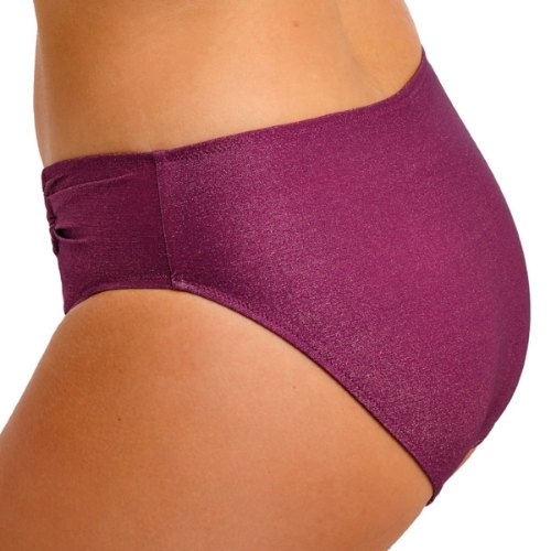 Fantasy Swim Paros Cove purple bikini brief