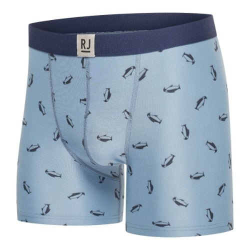 RJ Bodywear Men Fashion blue sport boxershort
