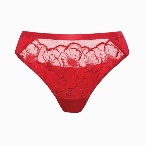 Lisca  red brief