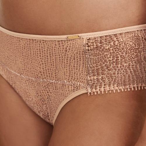 Chantelle Day to Night brown brief
