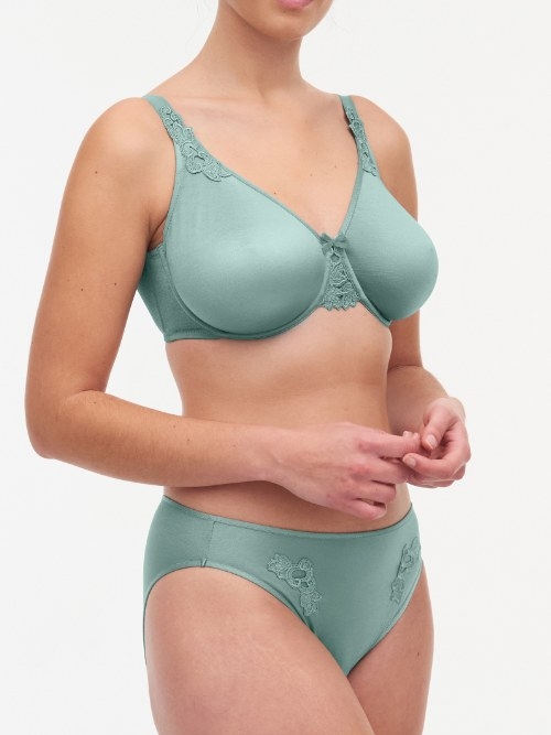 Chantelle Hedona green non-padded bra