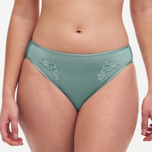 Chantelle Hedona green brief