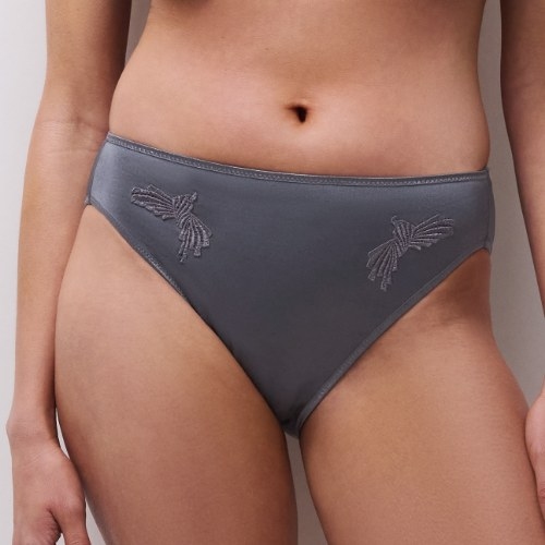 Chantelle Hedona grey brief