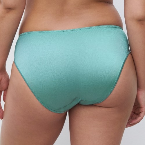 Chantelle Hedona green brief