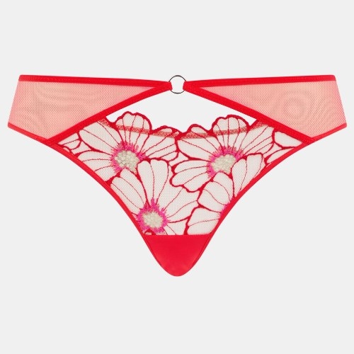 Chantelle Lush red brief