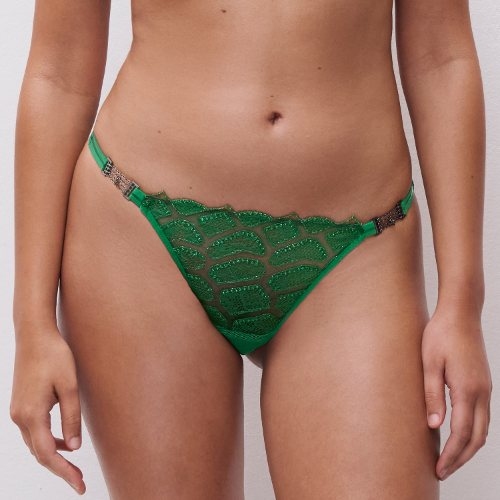 Chantelle Reptilia green brief