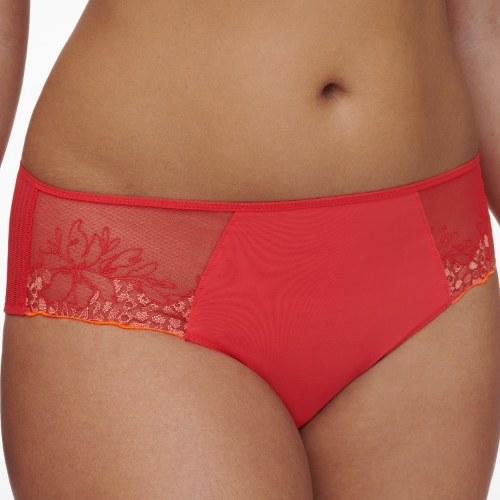 Chantelle Spice red short