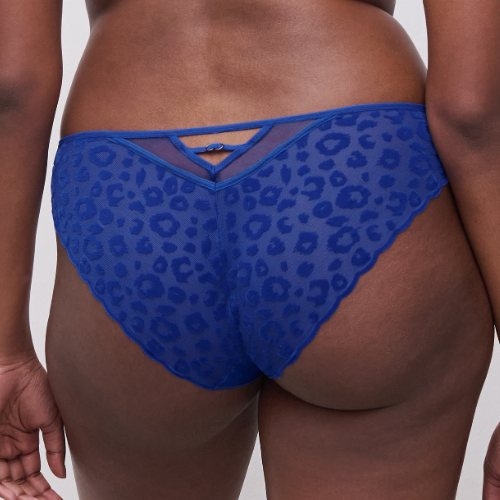 Chantelle  blue brief