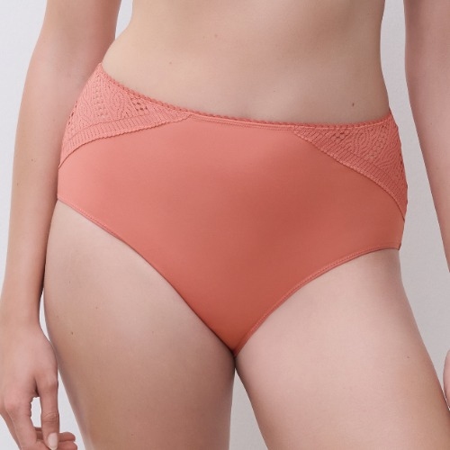 Chantelle  brown high waist brief