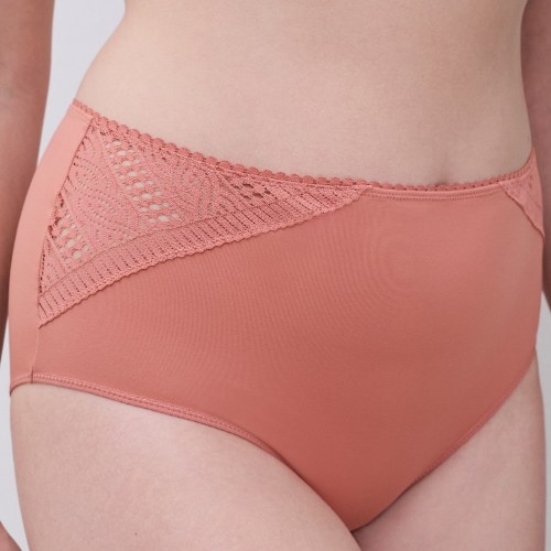 Chantelle  brown high waist brief