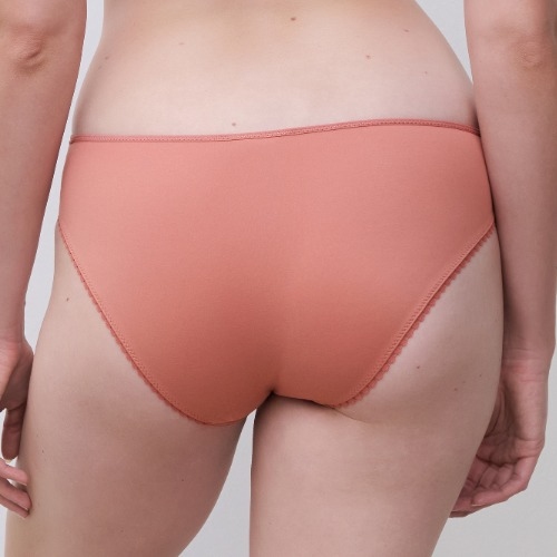 Chantelle Easy Support brown brief