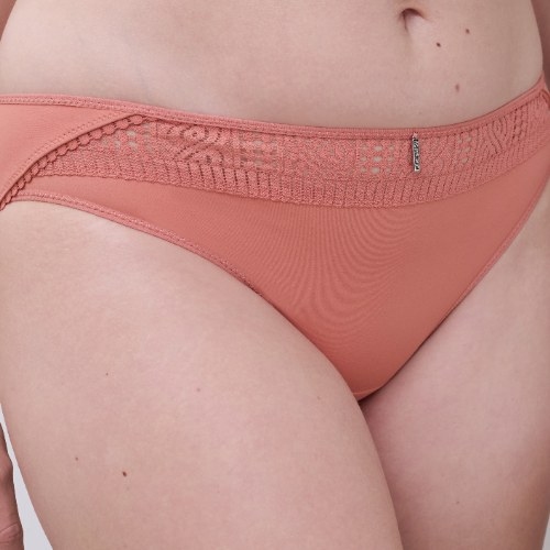 Chantelle Easy Support brown brief