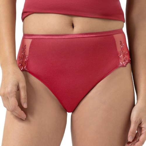 Mey Lingerie Delighted red brief