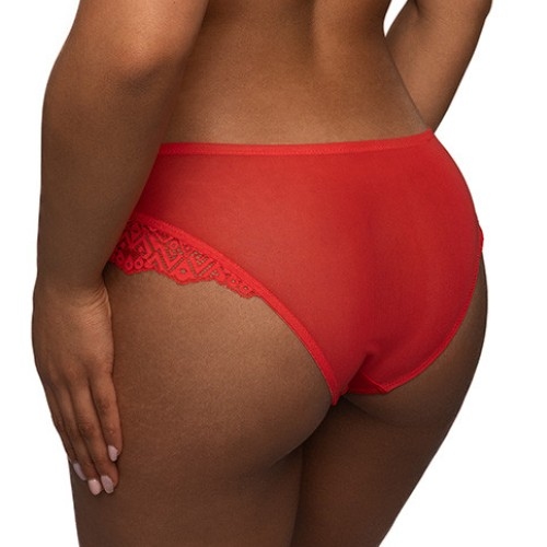 After Eden D-Cup & Up Tavienne red brief