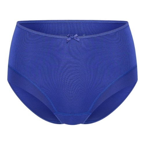 RJ Bodywear Pure Color blue high waist brief