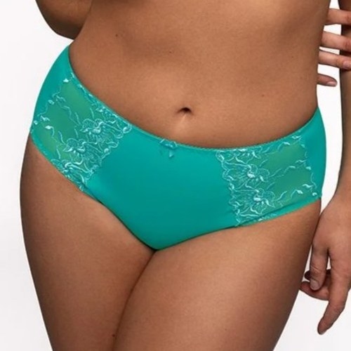 Elbrina Embroid aqua brief
