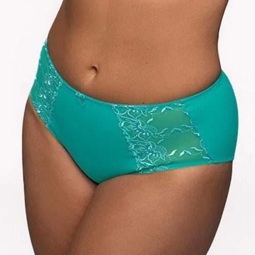 Elbrina Embroid aqua brief