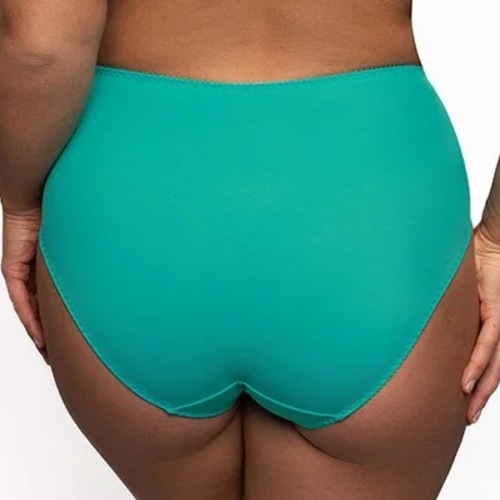 Elbrina Embroid aqua brief