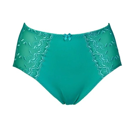 Elbrina Embroid aqua brief