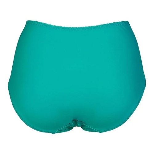 Elbrina Embroid aqua brief