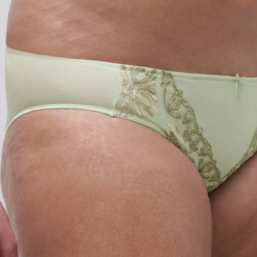 Chantelle Champ Elysees green brief