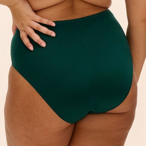 Elomi Smooth green brief