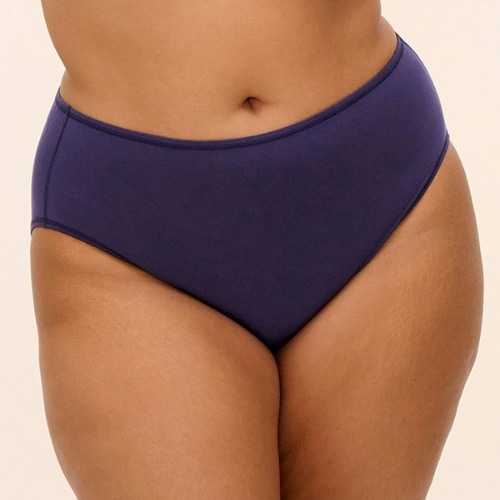 Elomi Smooth navy blue brief