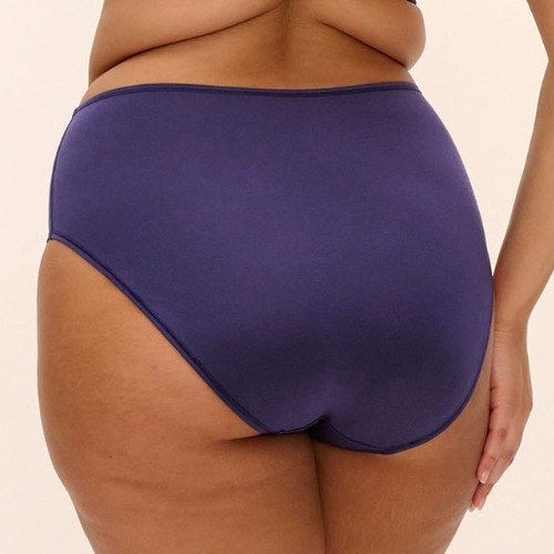 Elomi Smooth navy blue brief