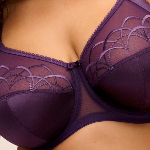 Elomi Cate dark violet non-padded bra