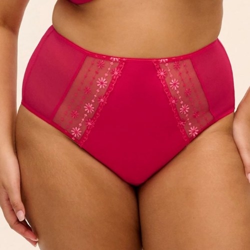 Elomi Matilda hot pink high waist brief