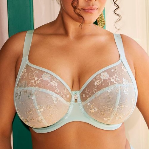Elomi Lyriana blue non-padded bra