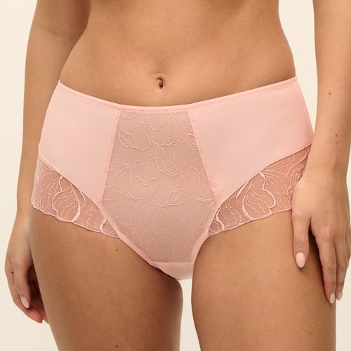 Fantasy Lingerie Full Potential romance high waist brief