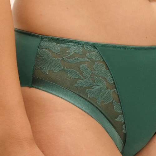 Fantasy Lingerie Illusion green brief