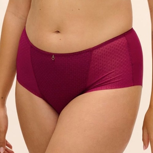 Fantasy Lingerie Evolution ruby brief