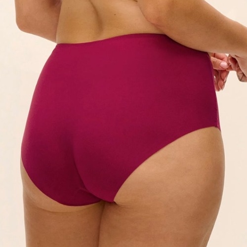 Fantasy Lingerie Evolution ruby brief