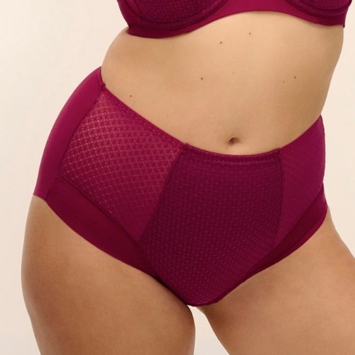 Fantasy Lingerie Evolution ruby high waist brief